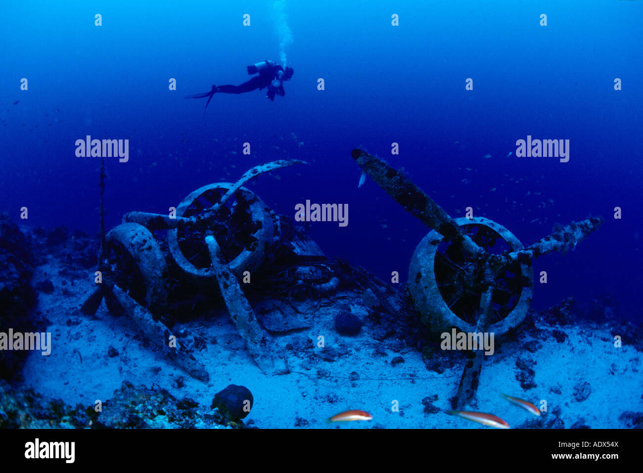 Scuba Diver al relitto aereo Savoia Marchetti SM 79 2 Kas Lycia Regione Mar Mediterraneo Turchia Foto Stock