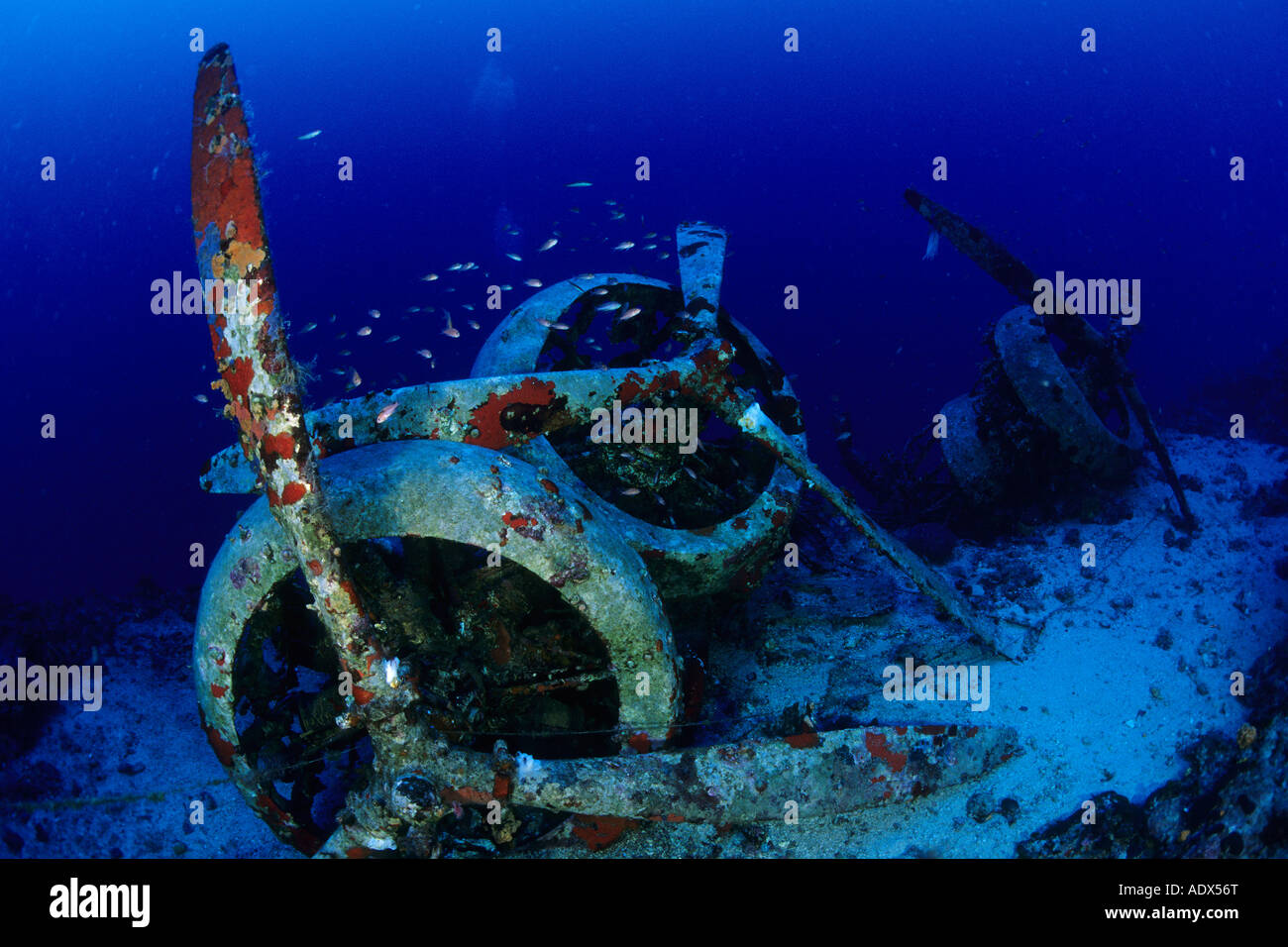 Scuba Diver al relitto aereo Savoia Marchetti SM 79 3 Kas Lycia Regione Mar Mediterraneo Turchia Foto Stock