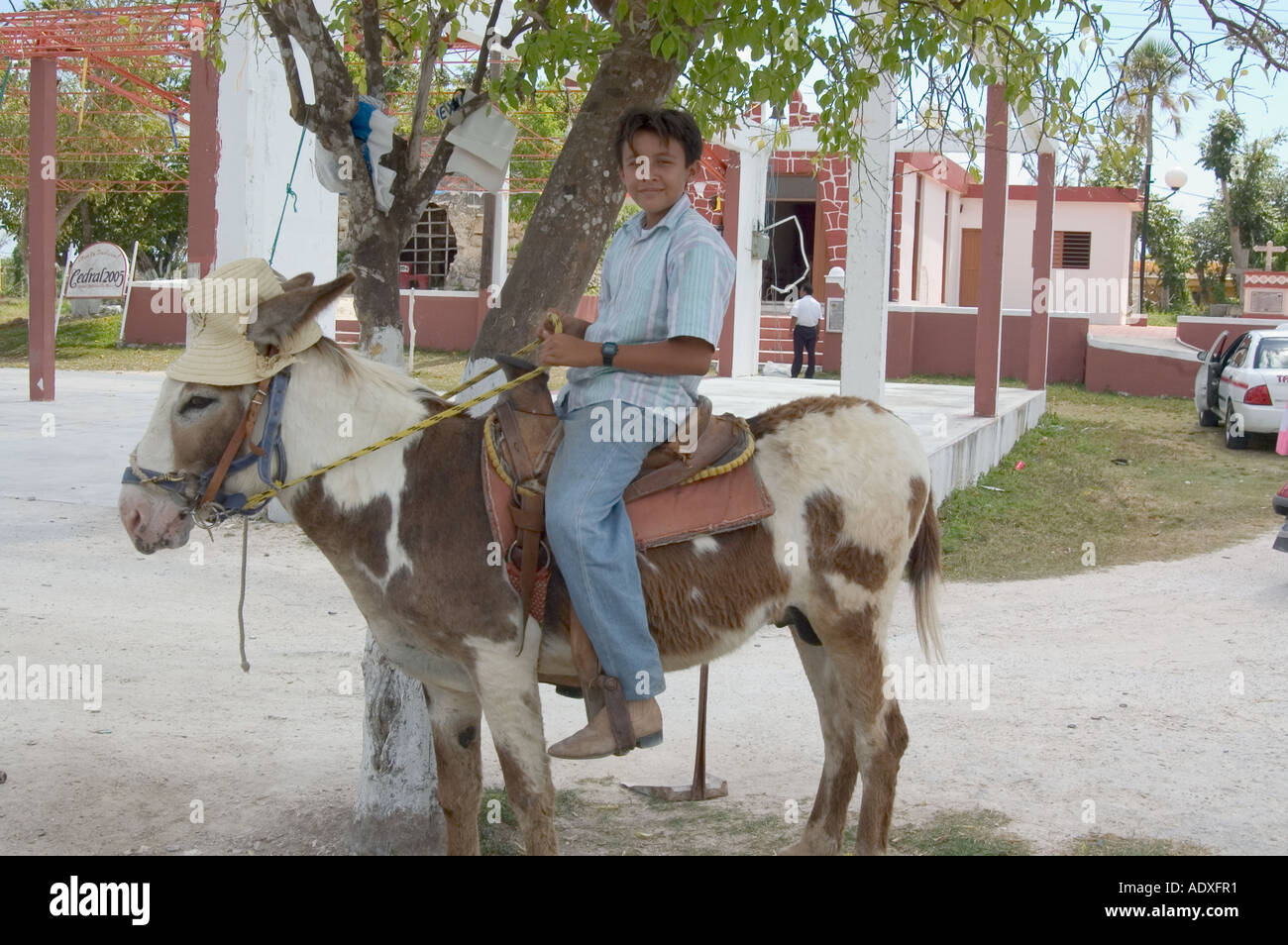 Asino con cappello di paglia e ragazzo, El Sedral Cozumel Messico Caraibi  occidentali Foto stock - Alamy