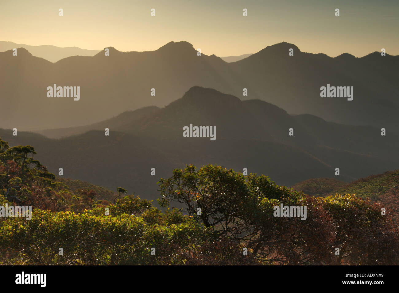 Vista dal Monte Guglielmo in Grampian Regione in Victoria Australia al tramonto Foto Stock