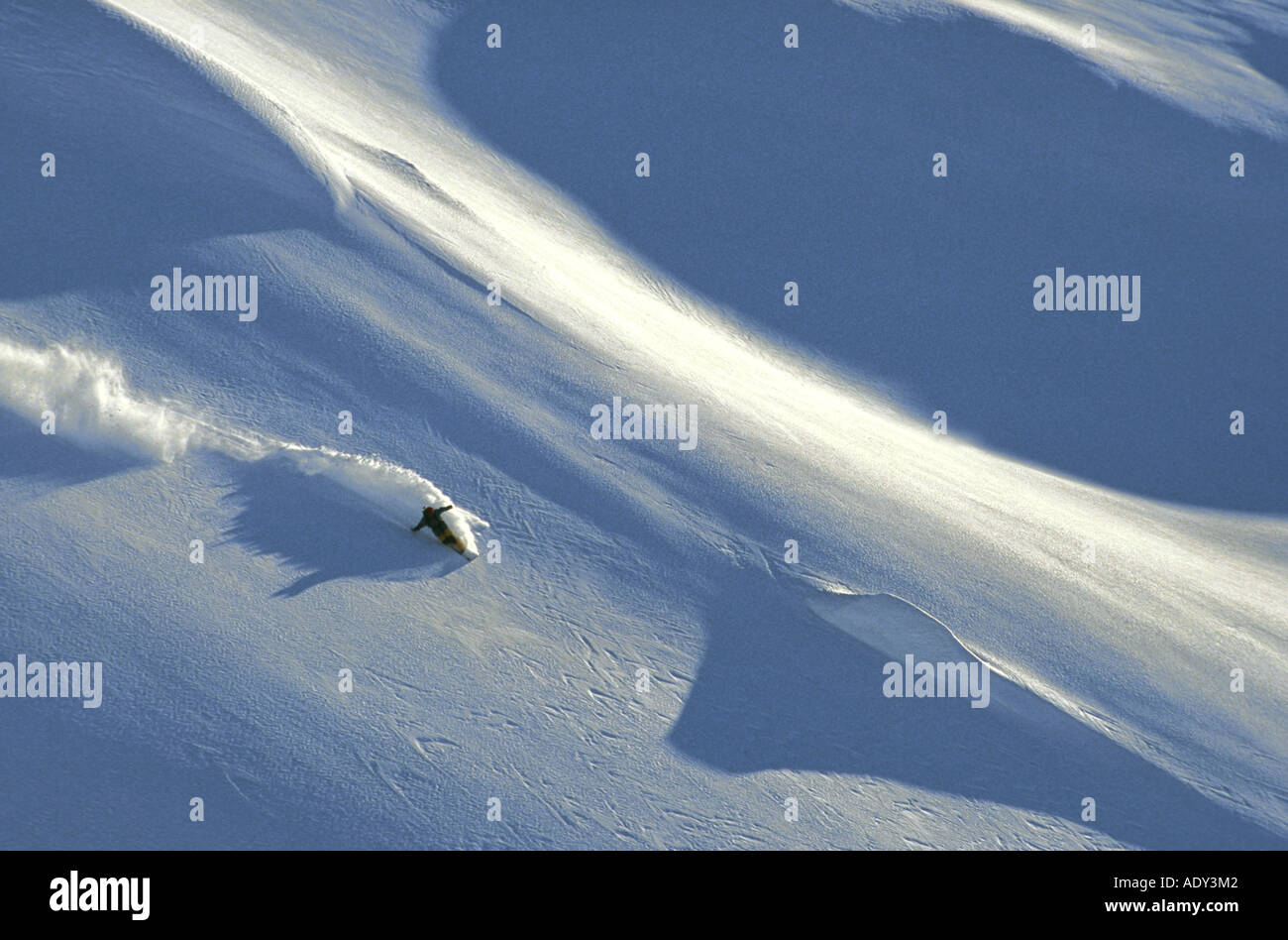 Snowboarder, sci di discesa in neve profonda, fuoripista Foto Stock
