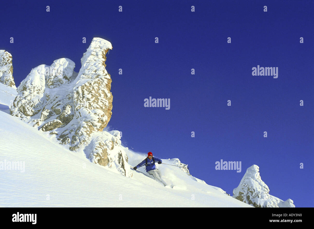 Sciatore maschio, sci di discesa in neve profonda, fuoripista Foto Stock