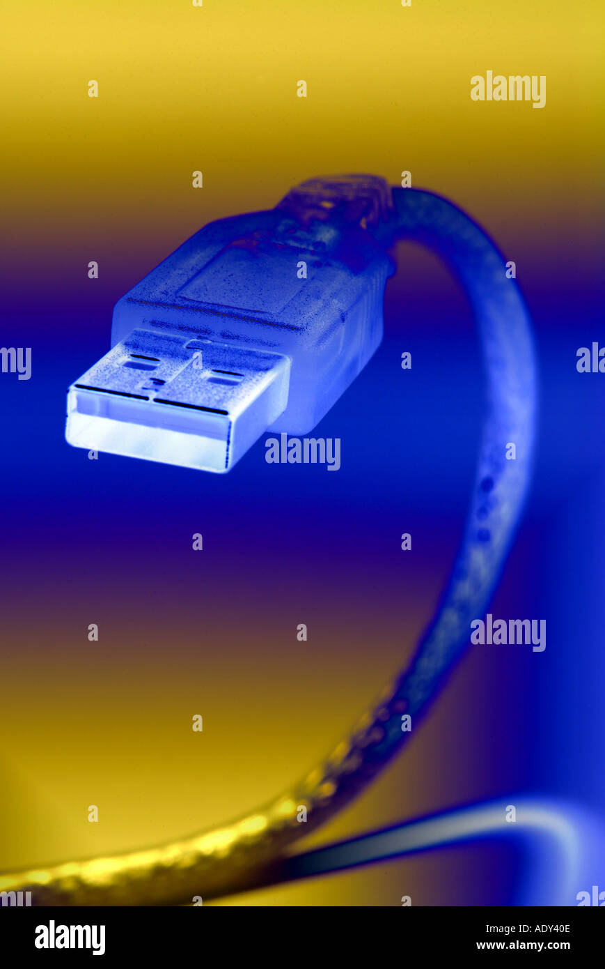 Computer Comm effetto oro blu, bluastro dorato cavo di collegamento connettore calcolatore elettronico il concetto di tecnologia Foto Stock