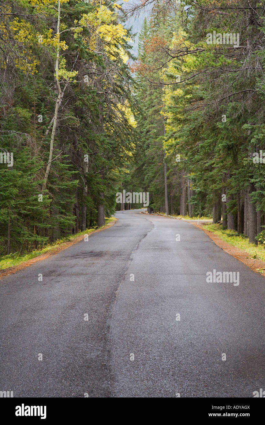 Strada in autunno, il Parco Nazionale di Banff, Alberta, Canada Foto Stock
