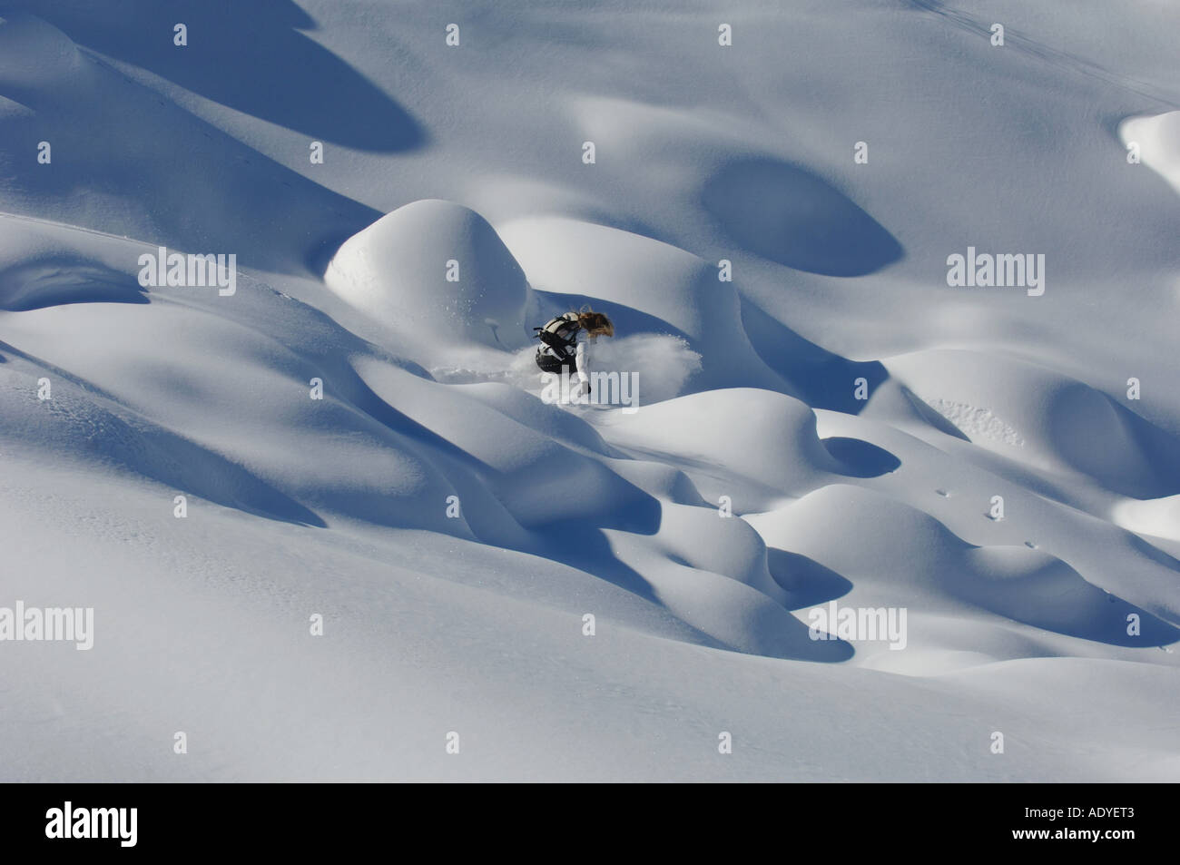 Polvere profonda neve sci, Francia, Savoie Foto Stock