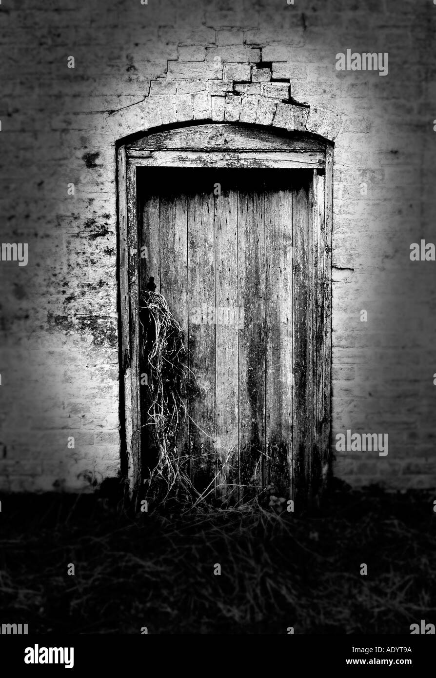 Vecchia porta Foto Stock