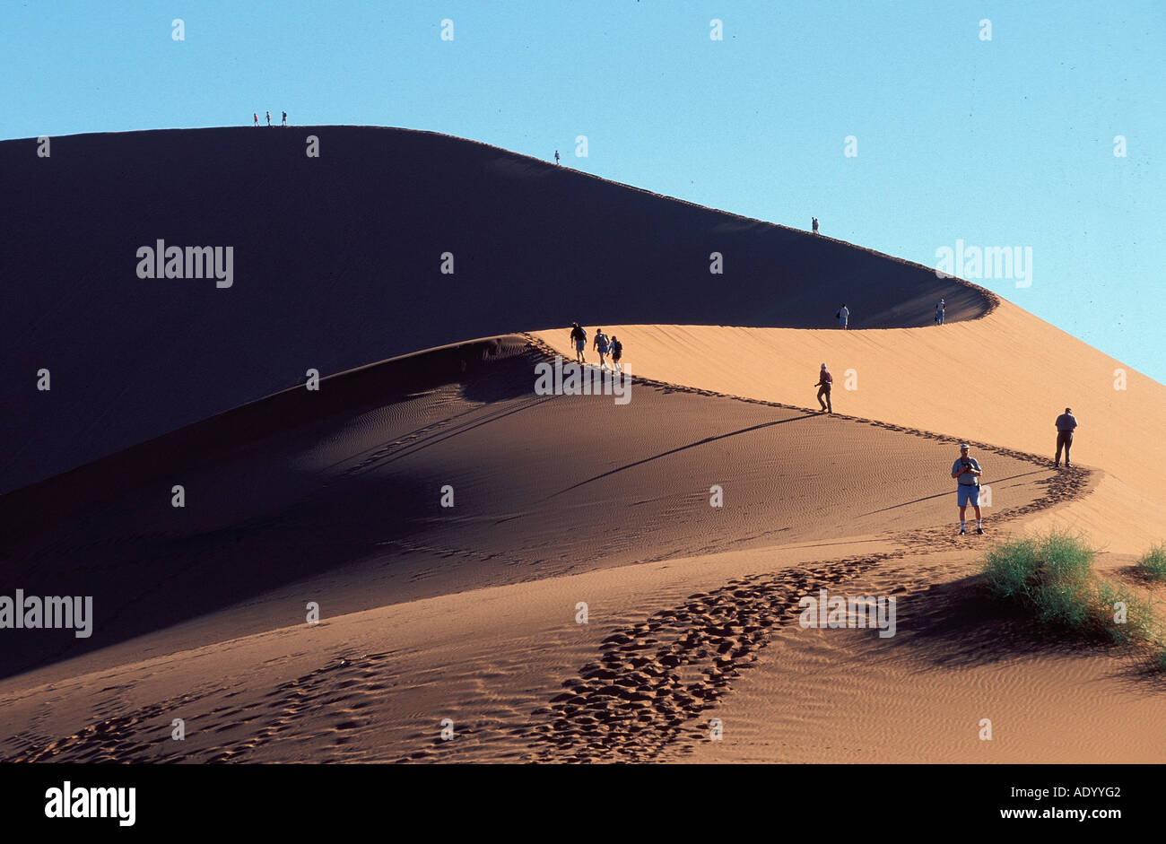 La Namibia Namib Desert sandstructures Foto Stock