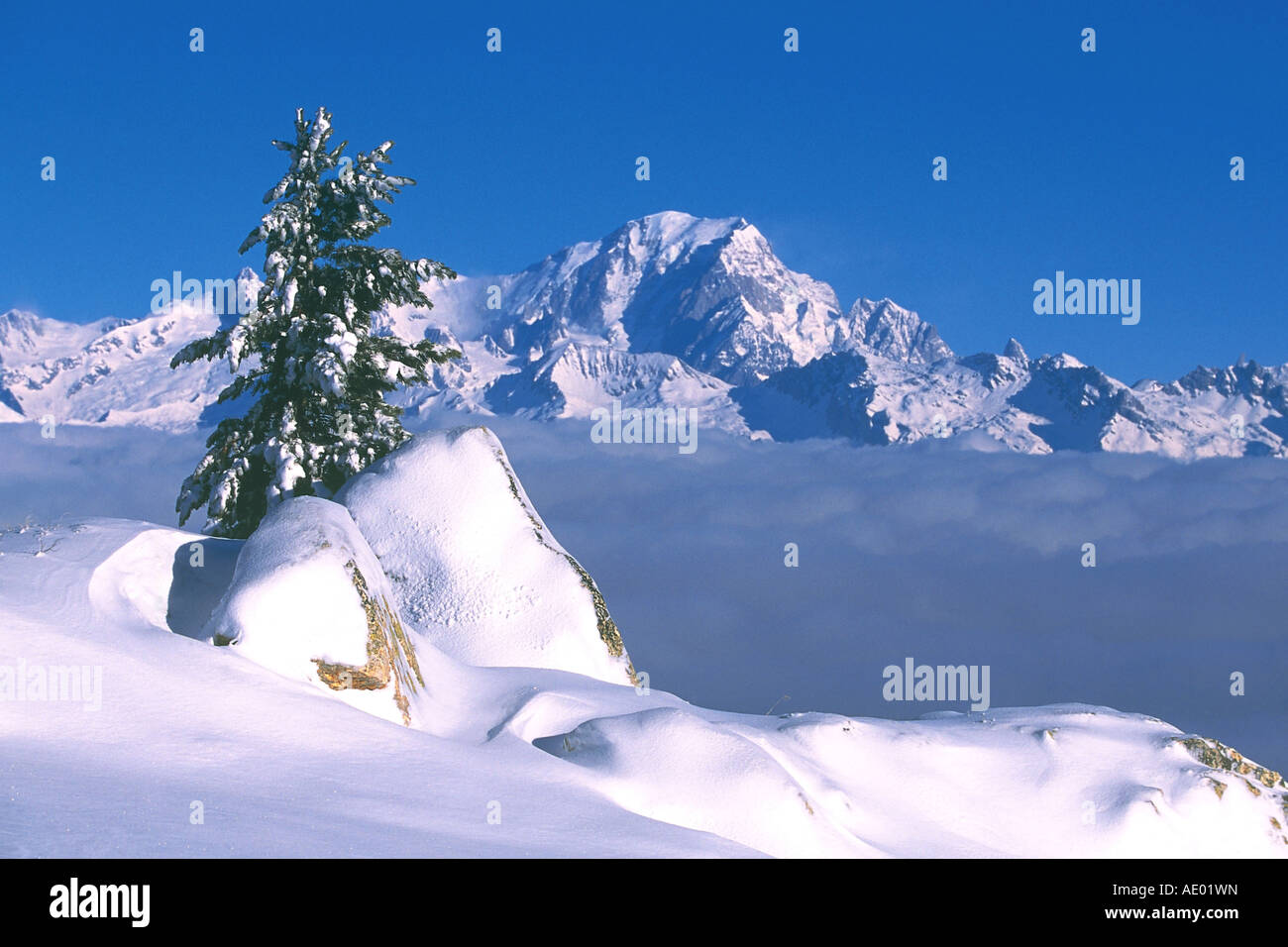 Mont Blanc, la più alta montagna d Europa, 4807 m, Francia, Alpi Savoie Foto Stock