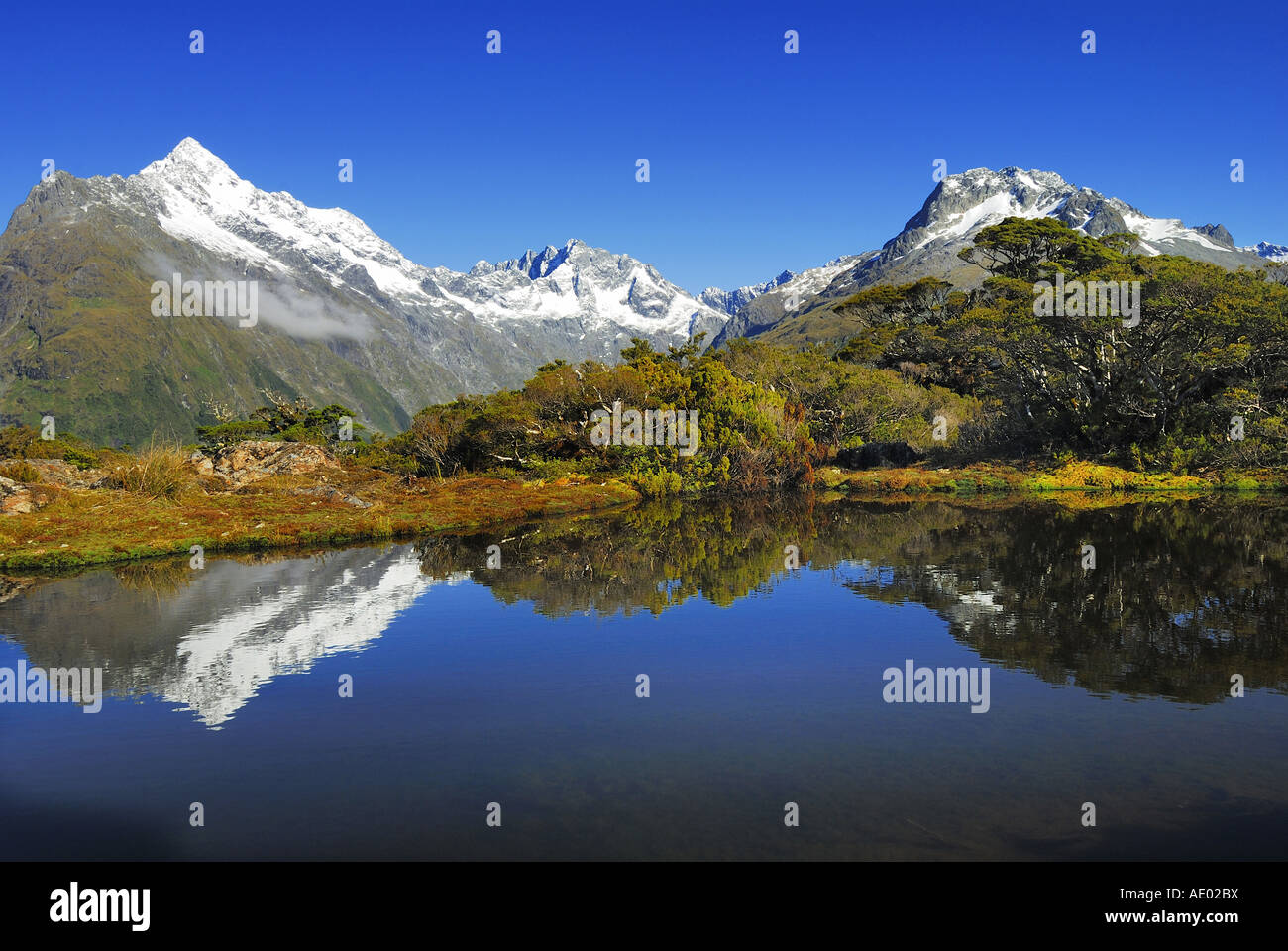 Vertice di chiave con immagine speculare di Mt. Christina, Nuova Zelanda, Isola Meridionale, Fjordland National Park Foto Stock