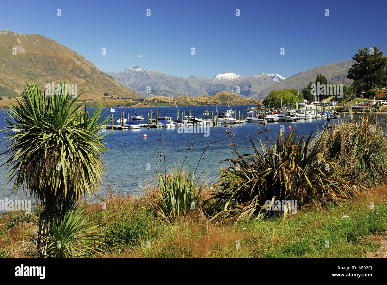Il lago Wanaka, Nuova Zelanda, Isola Meridionale, Otago Foto Stock