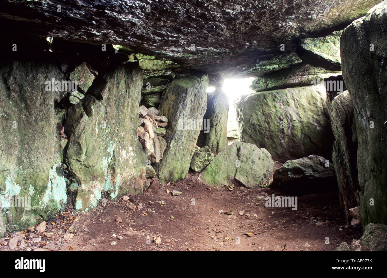 Labbacallee Cairn preistorico di sepoltura tomba a cuneo Hag's Bed Glanworth County Cork Eire, Irlanda Irish Preistoria, storia, pietra, Foto Stock