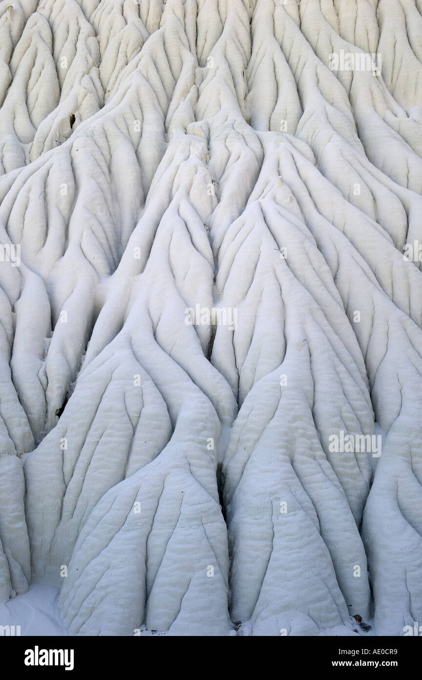 Wahweap Hoodoo Toadstoool Hoodoos calcare Escalante monumento nazionale USA Utah Foto Stock