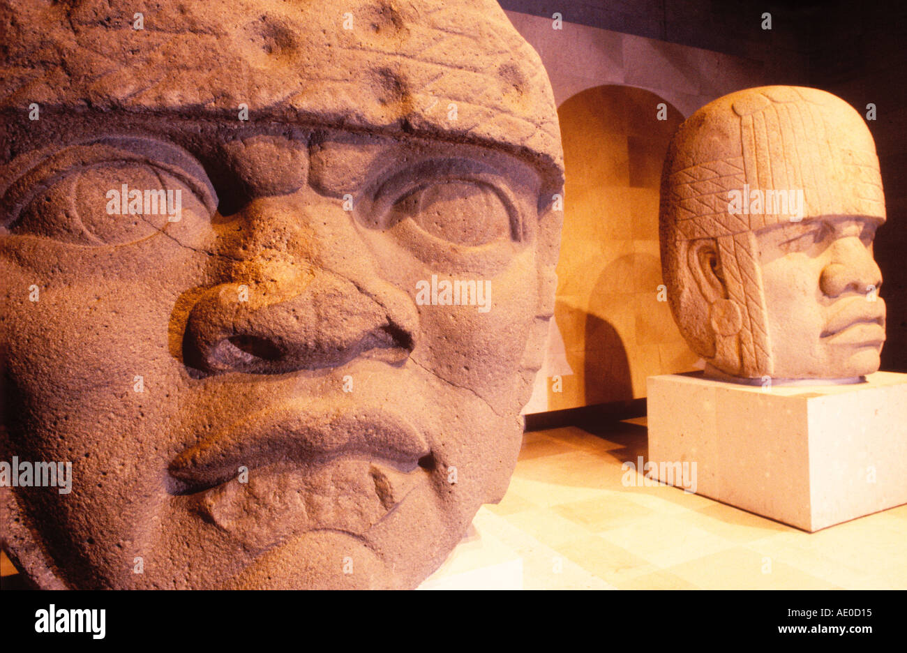 Olmec capi Jalapa Museo di Antropologia Xalapa in Messico Foto Stock