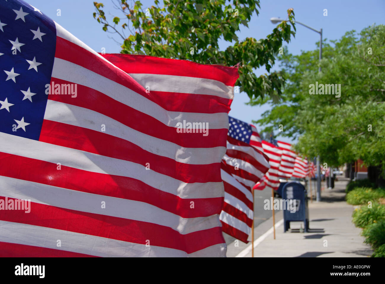 "Bandiere 'Stelle e strisce' lungo 'Main Street', 'Memorial giorno', Sebastopol, Sonoma County, California' Foto Stock