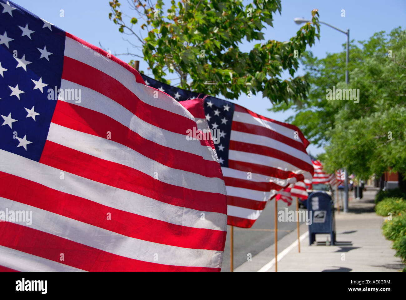 "Bandiere 'Stelle e strisce' lungo 'Main Street', 'Memorial giorno', Sebastopol, Sonoma County, California' Foto Stock