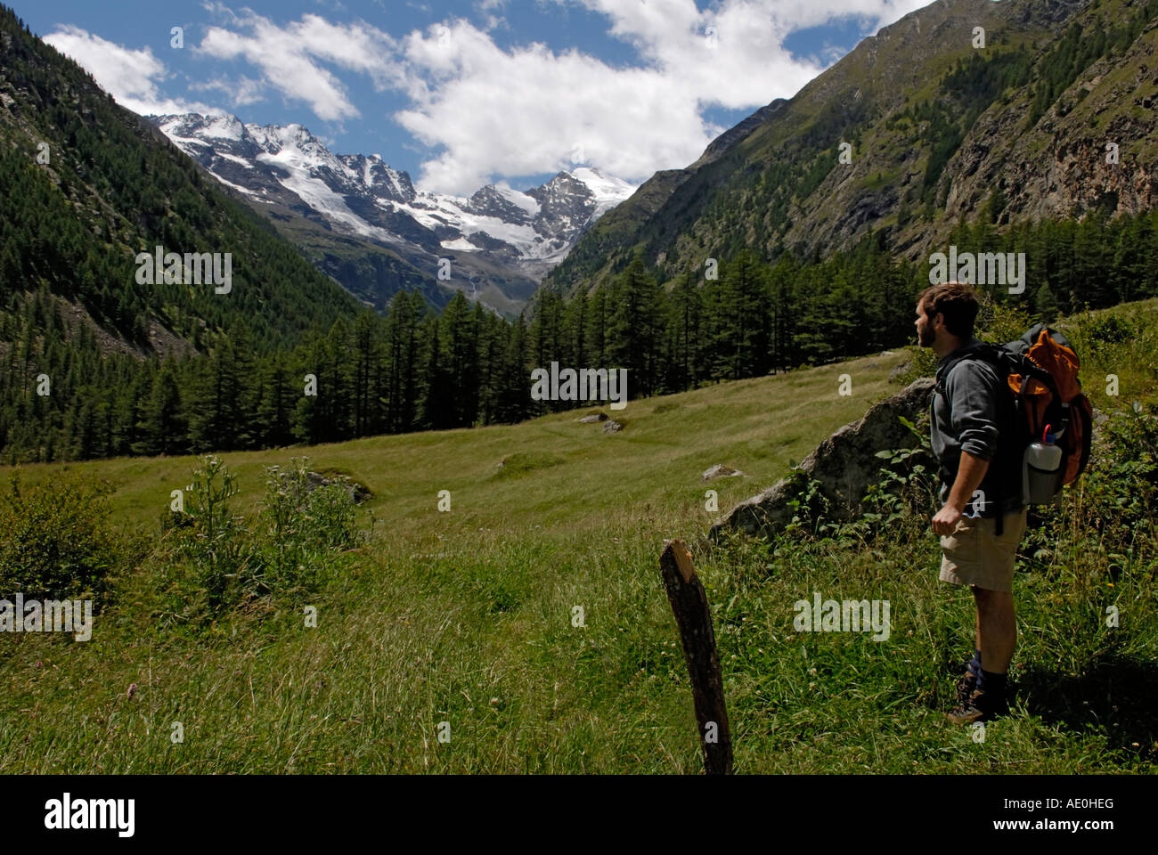 Backpacker, Escursionista, maschio, guardando il panorama alpino, il Parco Nazionale del Gran Paradiso, Alpi Italiane Foto Stock