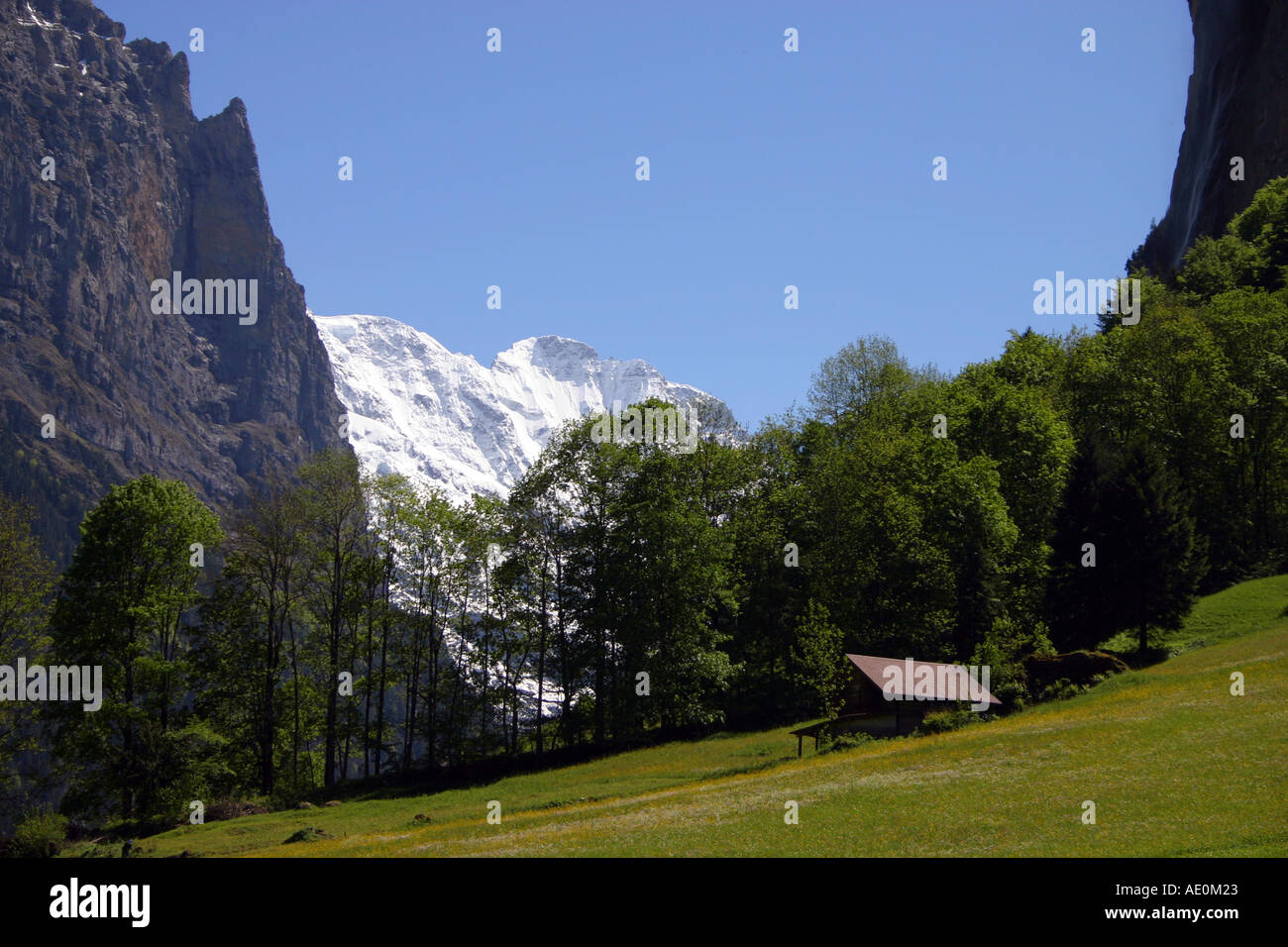 Valle di Lauterbrunnen svizzera Foto Stock