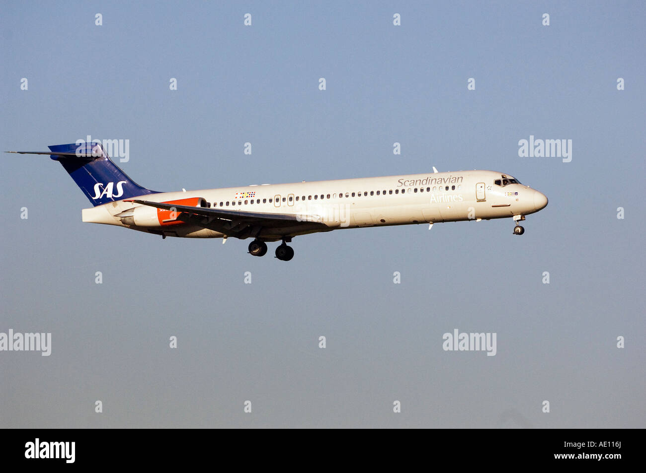 Un Scandinavian Airlines System aereo atterrando all'aeroporto di Zurigo, Svizzera Foto Stock