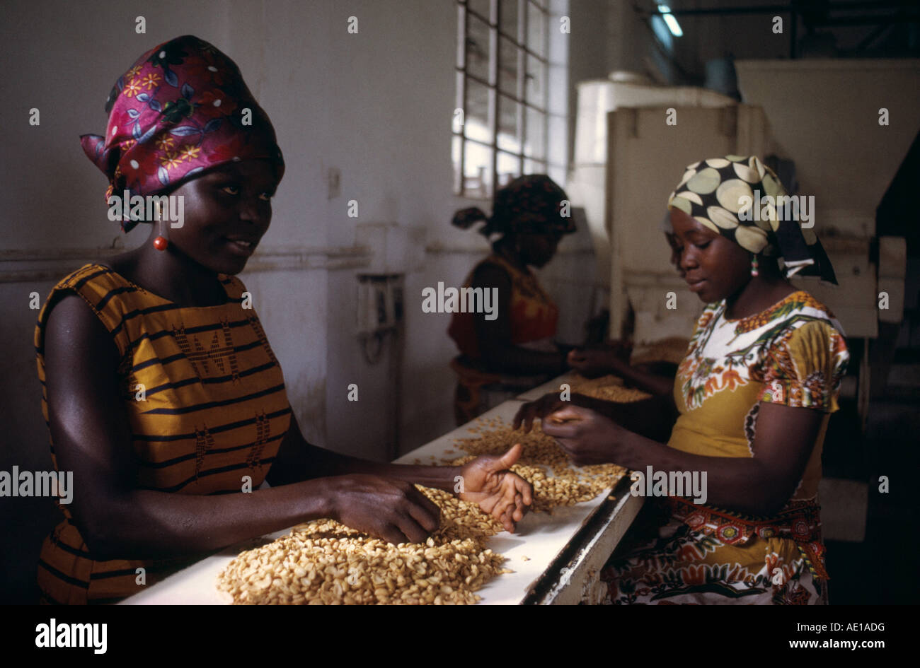 La Nigeria West Africa Kano le donne che lavorano in olio di arachide factory Foto Stock