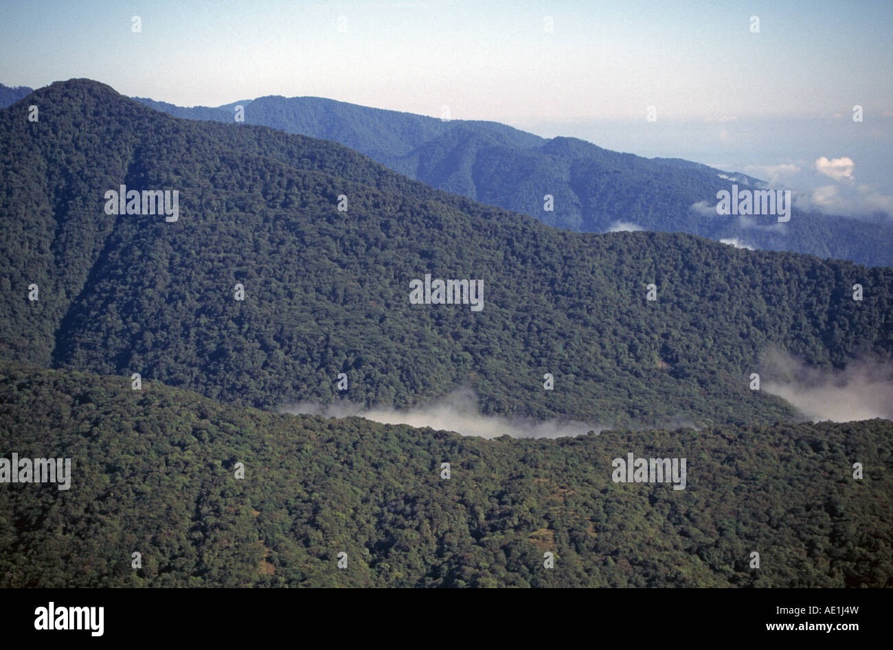 Una veduta aerea della vasta e fitta foresta di pioggia del Braulio Carrillo parco nazionale in Costa Rican highlands Foto Stock