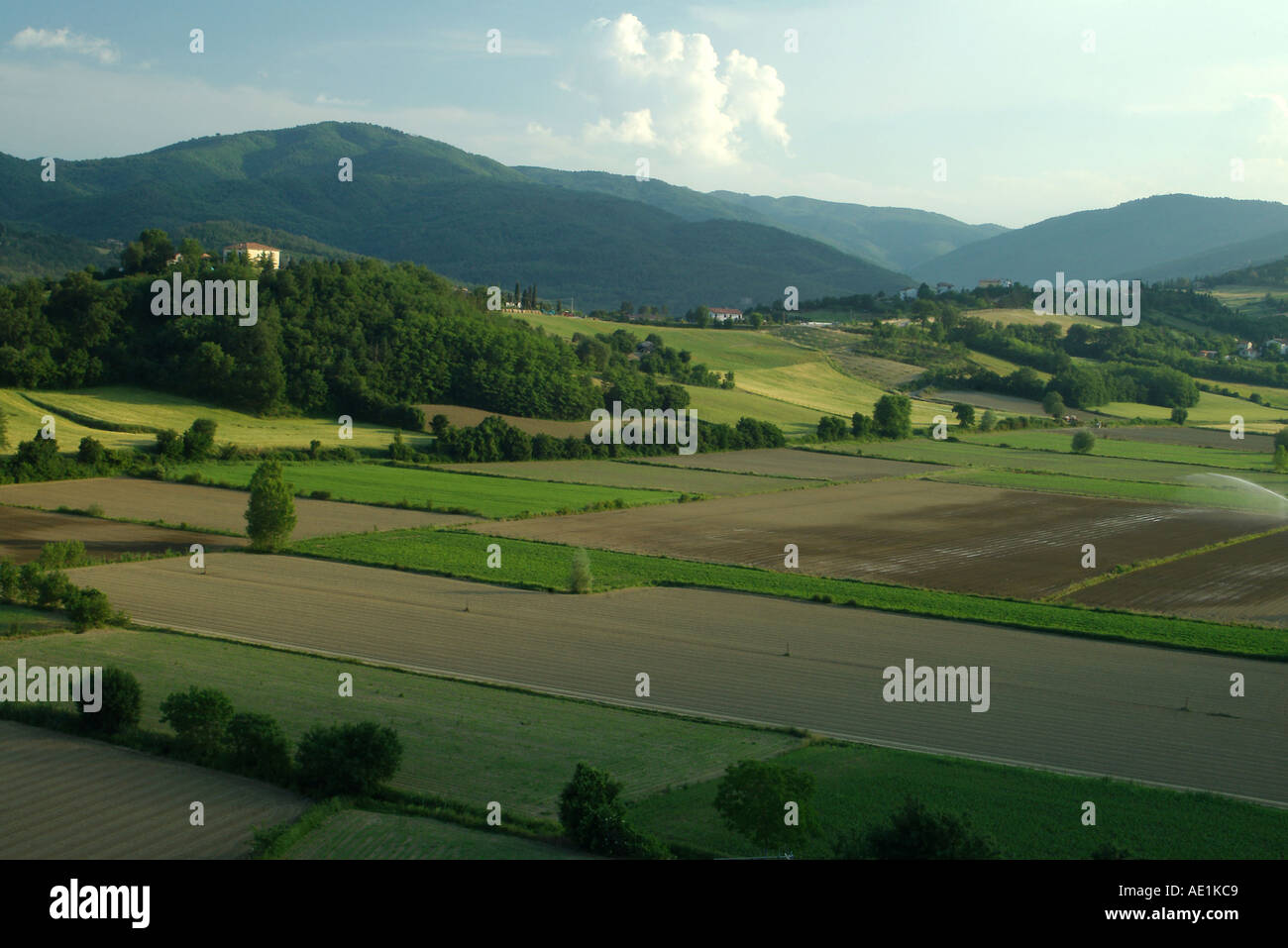 Serata sole sopra i campi lussureggianti della Toscana Foto Stock