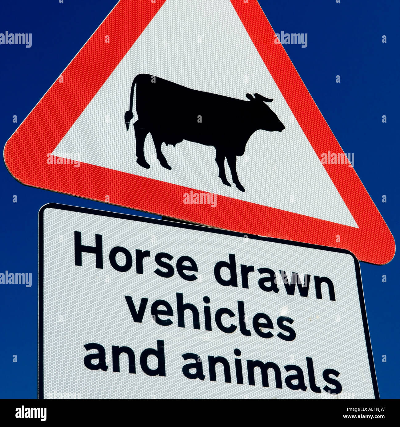 Cavallo e veicoli e animali segno visibile sul fossi Lane a Fairdean Downs vicino a Coulsdon Surrey in Inghilterra UK O Ivanchenko Foto Stock