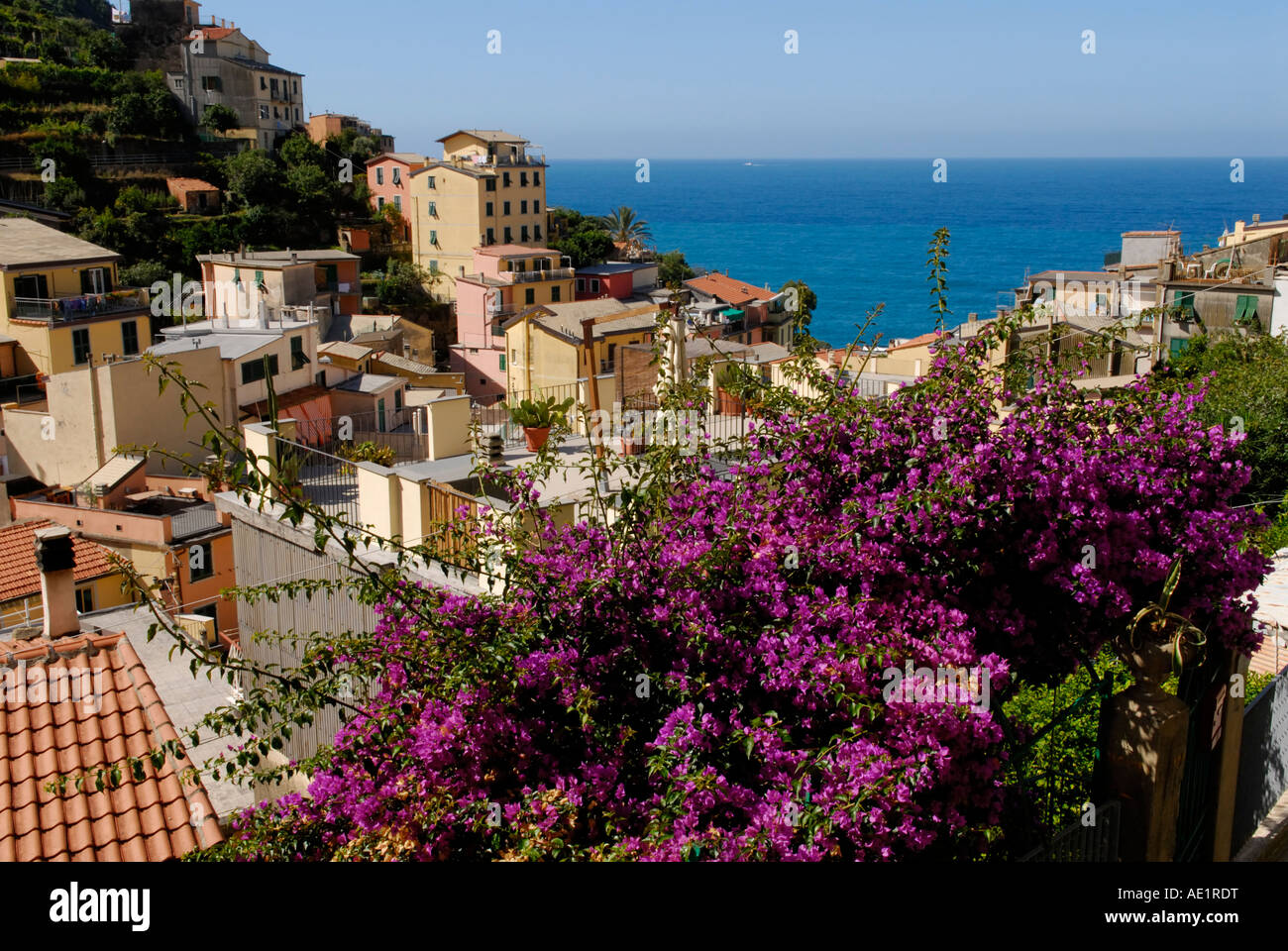 Riomaggiore Cinque Terre, con la luce del mattino e fiori, ad alto angolo di visione Foto Stock