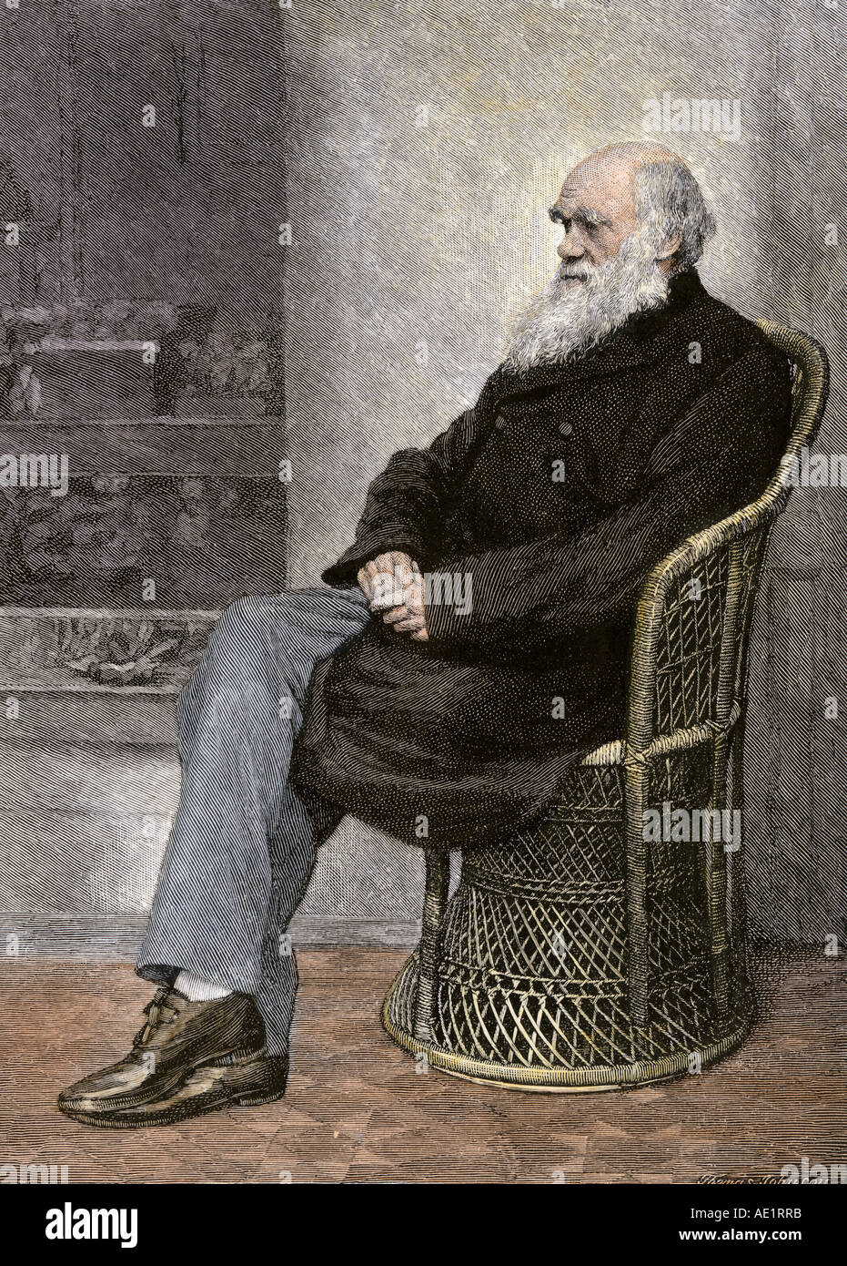 Charles Darwin seduto in una sedia di vimini. Colorate a mano la xilografia Foto Stock