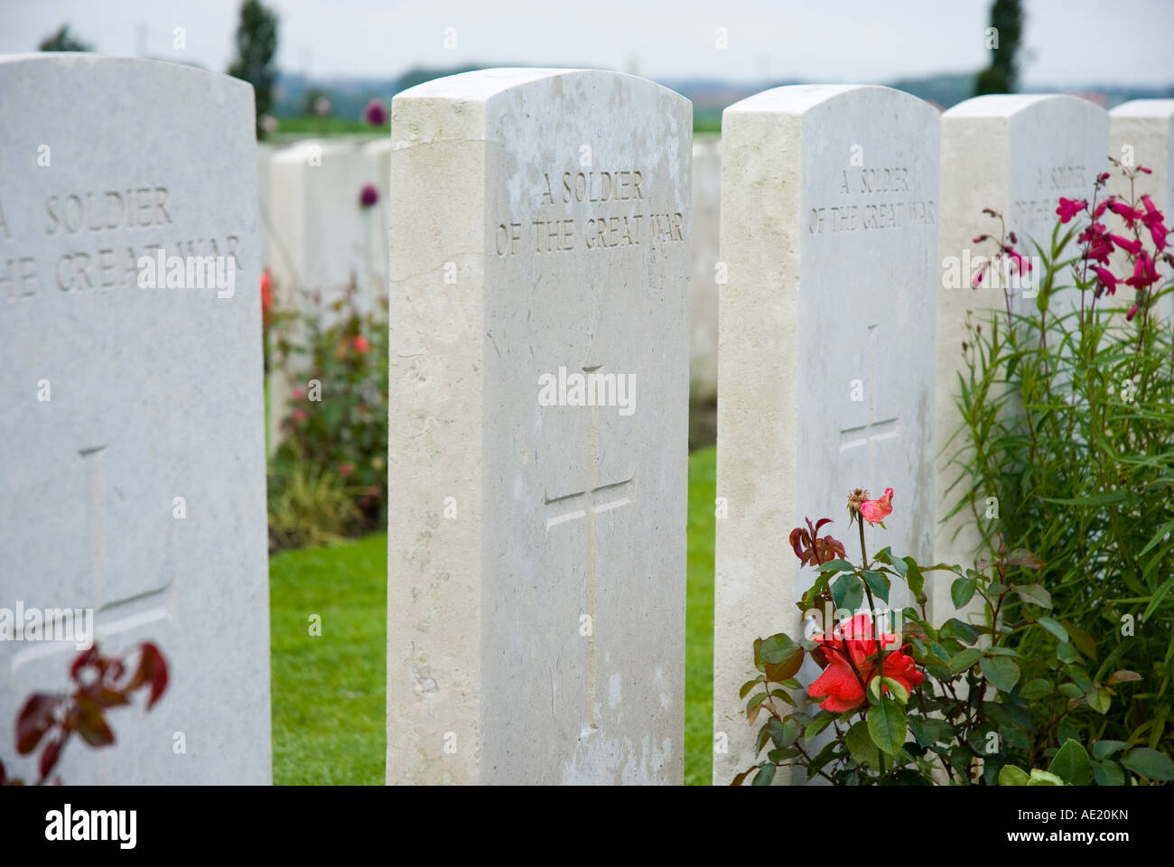 Tyne Cot cimitero Foto Stock
