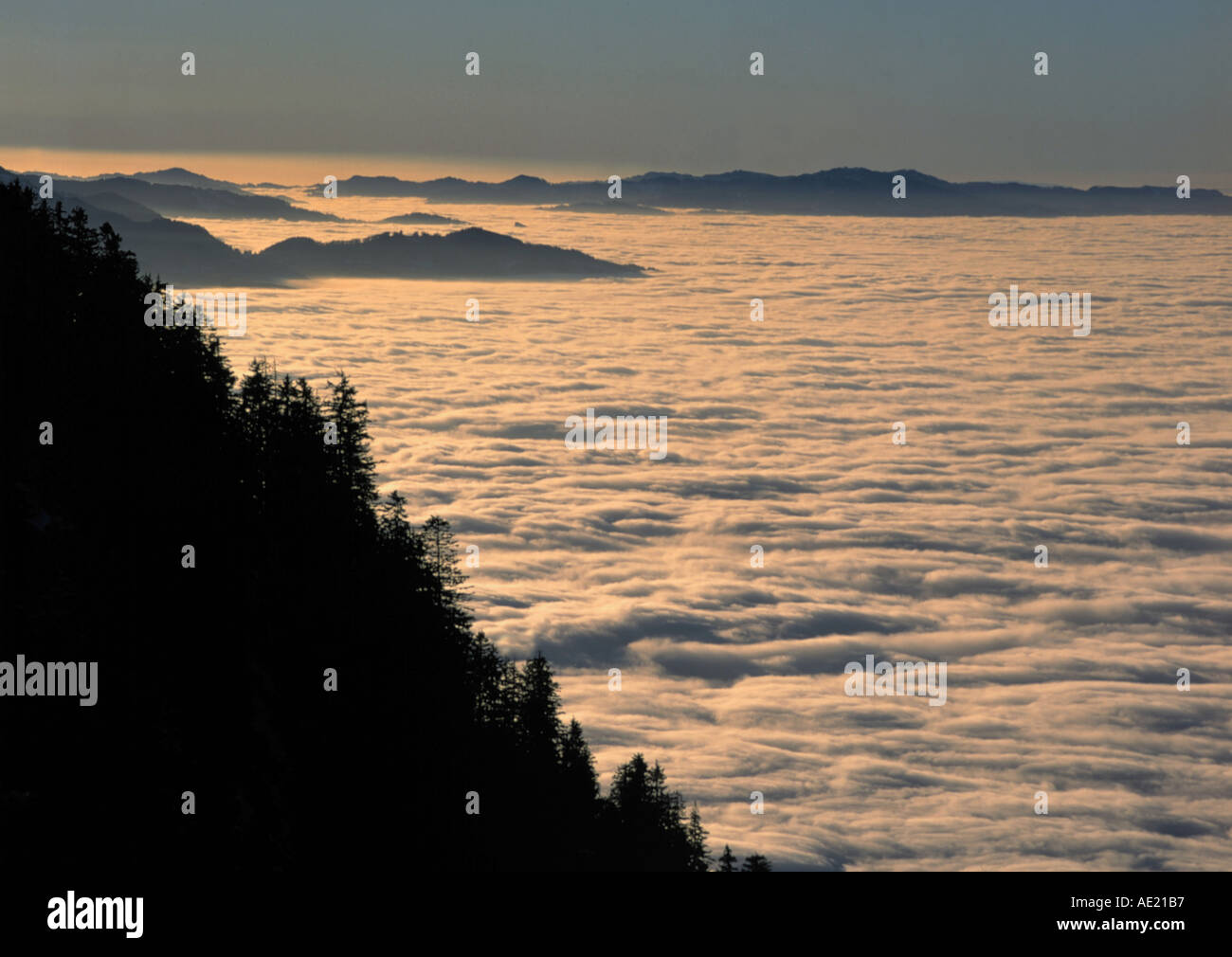 Vista dalla gamma della montagna di rigi più elevata di nebbia a sera swiss alpes il cantone di Lucerna svizzera Foto Stock