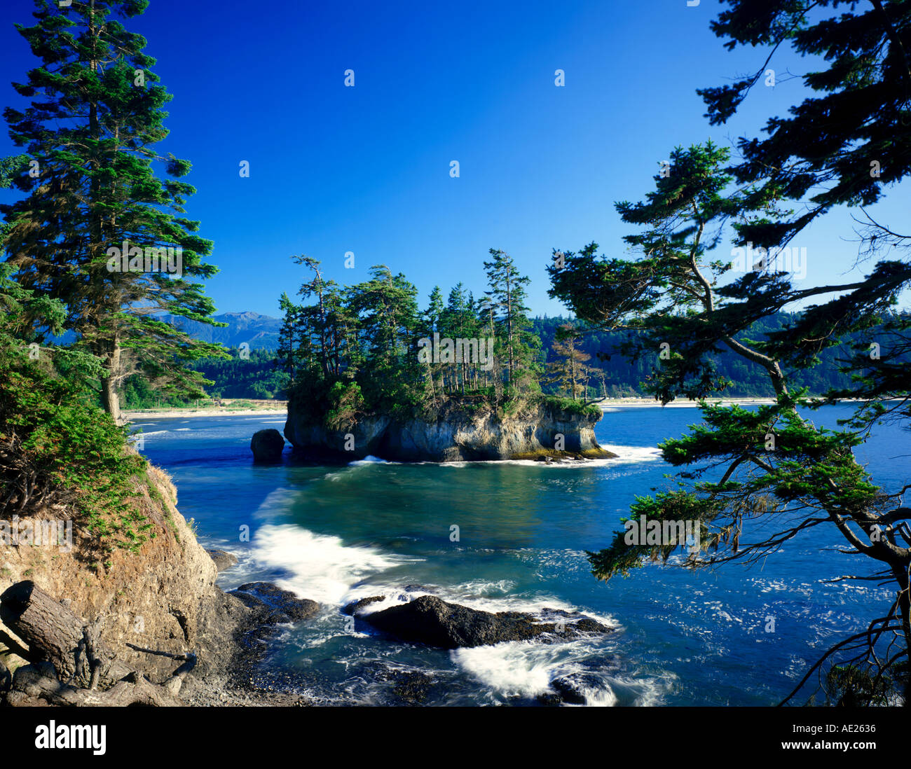 Spiaggia a mezzaluna, nello Stato di Washington, Stati Uniti d'America Foto Stock