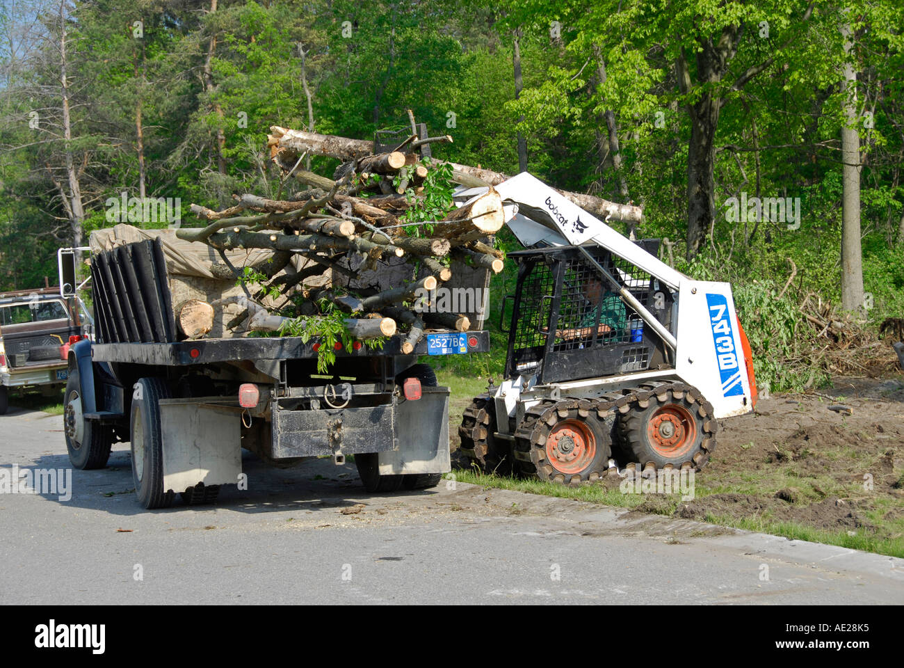 Bob cat la forcella di sollevamento viene utilizzato per posizionare gli alberi e i registri in un carrello Foto Stock