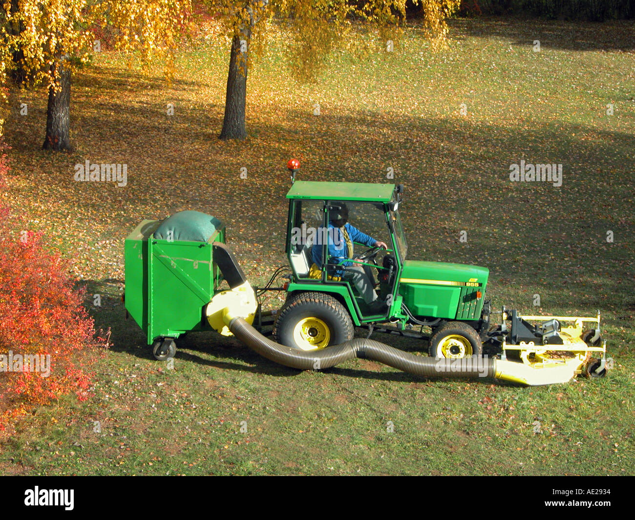 In autunno la raccolta e la rimozione delle foglie veicolo agricolo Foto Stock