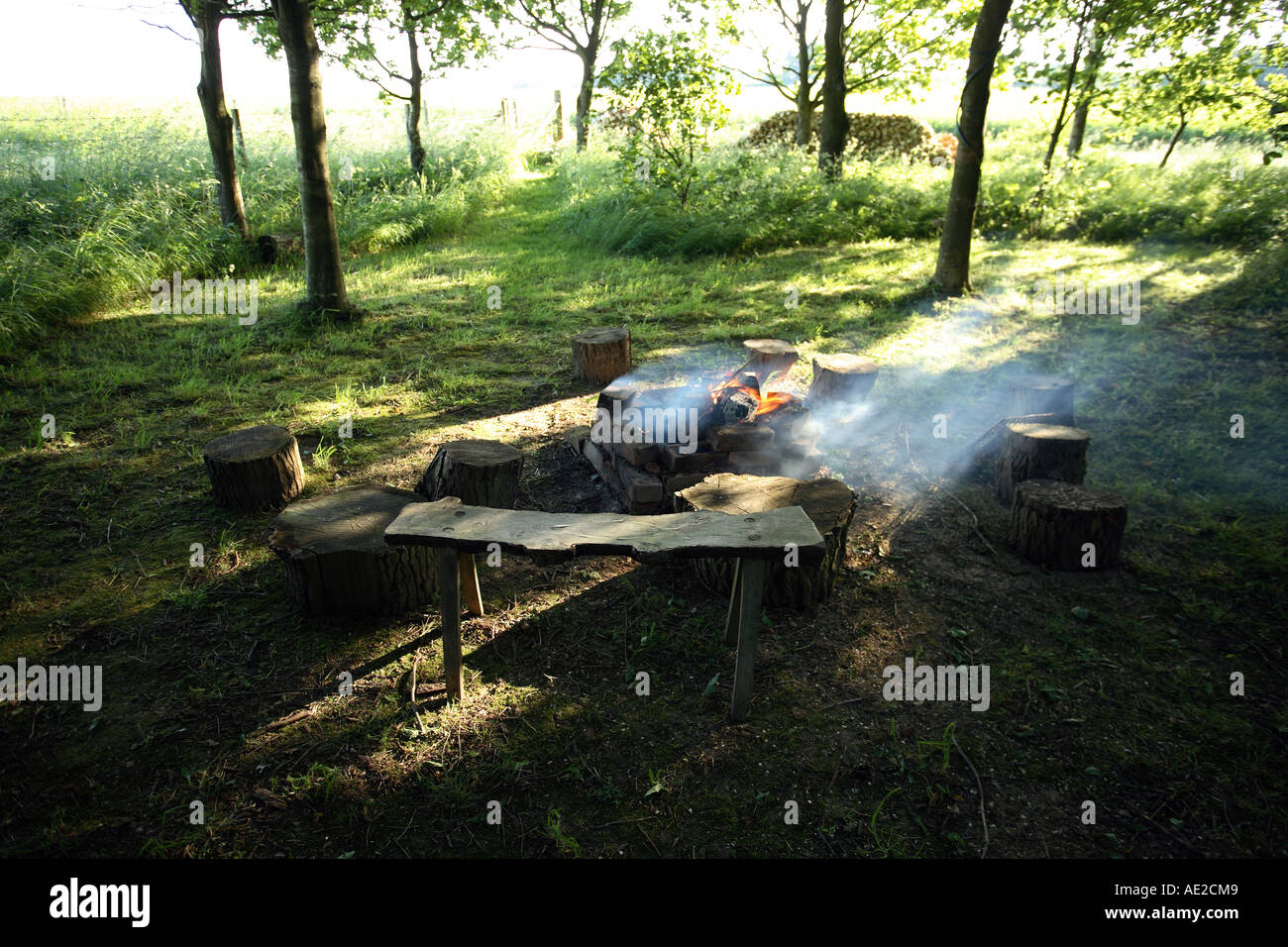 Campo di fuoco in un bosco di impostazione . Hampshire Inghilterra. Foto Stock