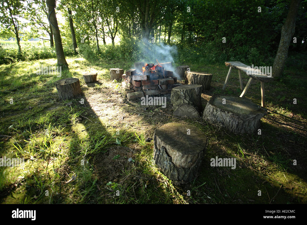 Campo di fuoco in un bosco di impostazione . Hampshire Inghilterra. Foto Stock