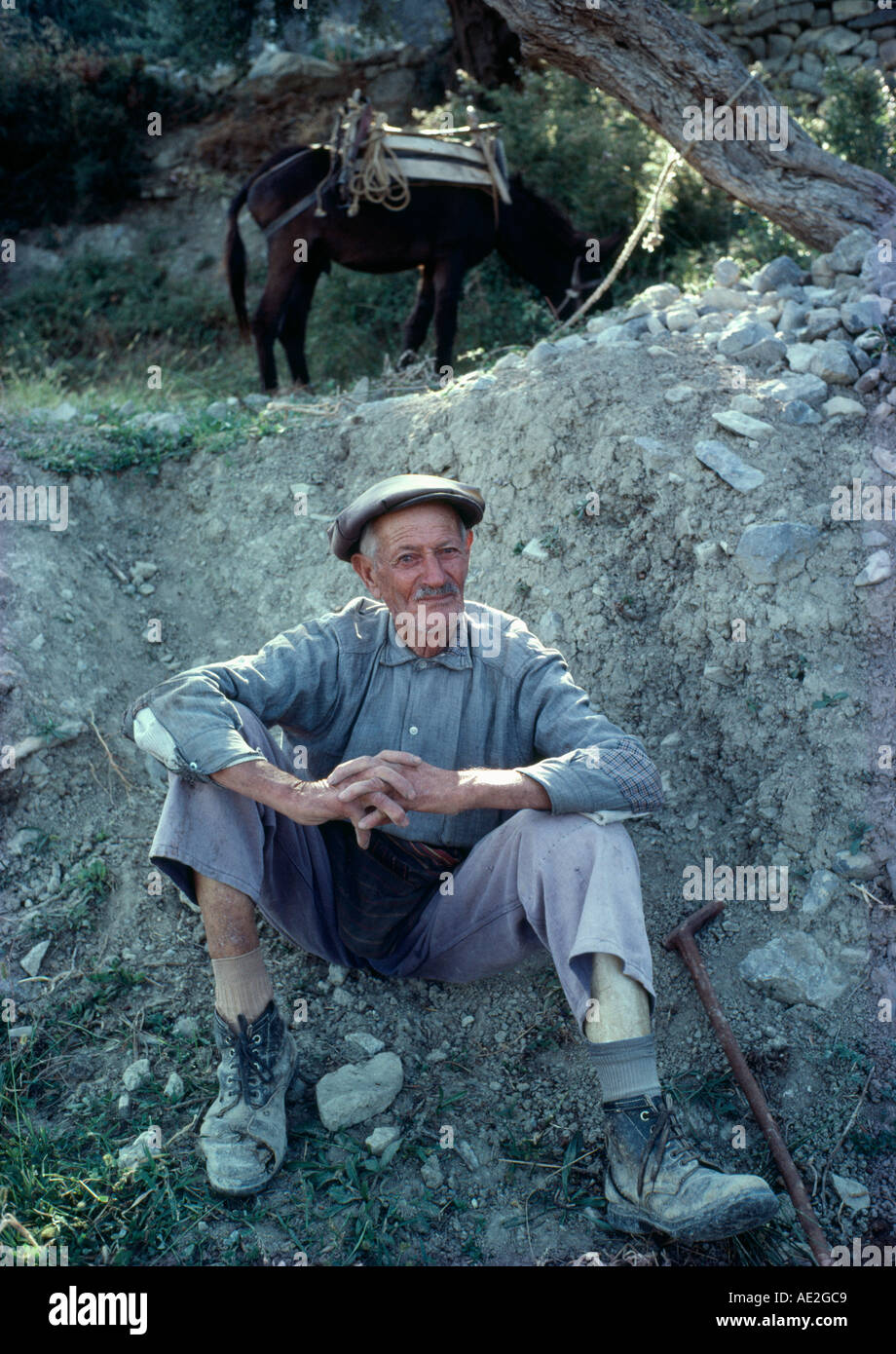 Un anziano pastore nei pressi di Agios Nikolaos a Creta Foto Stock