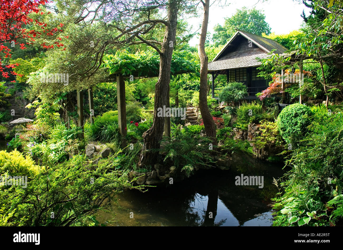 I giardini giapponesi nell'Irish National Stud a Tully, Kildare, Irlanda. Foto Stock
