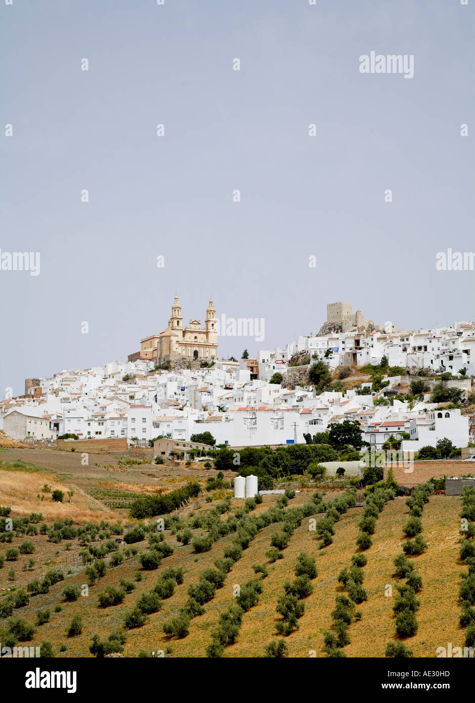 Olvera una città bianca, Peublos Blancos, in Andalusia Foto Stock