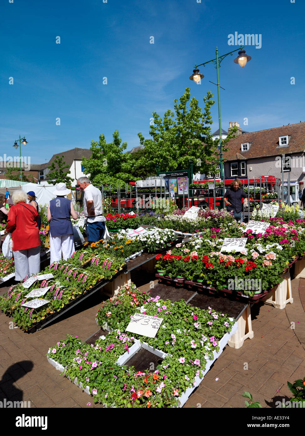 Epsom Surrey in Inghilterra al mercato del sabato la vendita di piante e fiori Foto Stock