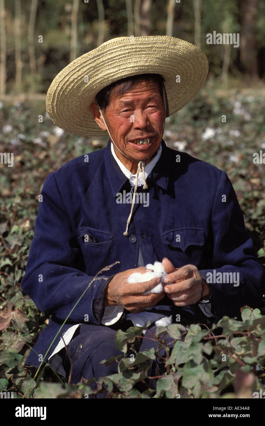 Cina, Dunhuang, coltivatore di cotone di raccolta nei campi Foto Stock