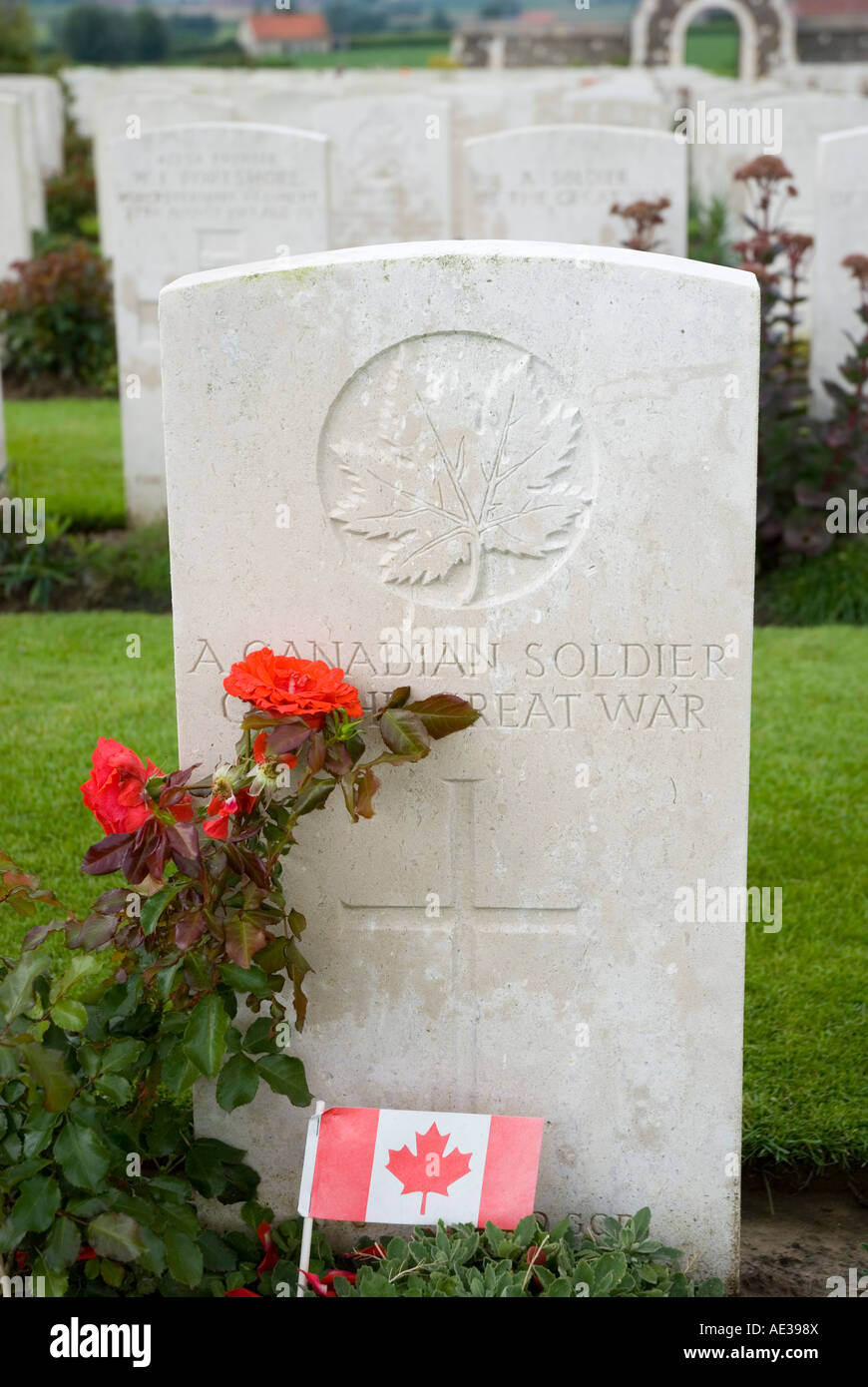 Tyne Cot cimitero Foto Stock