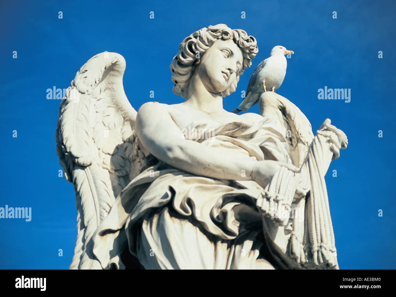 Un Gabbiano si trova sulla cima di una statua di un Angelo a Roma Italia Europa Foto Stock