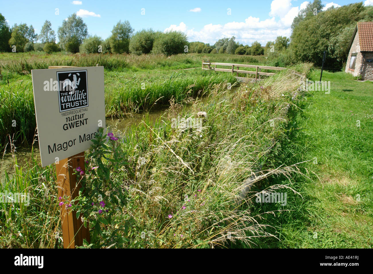 Magor vicino a Newport South Wales GB UK 2007 Foto Stock