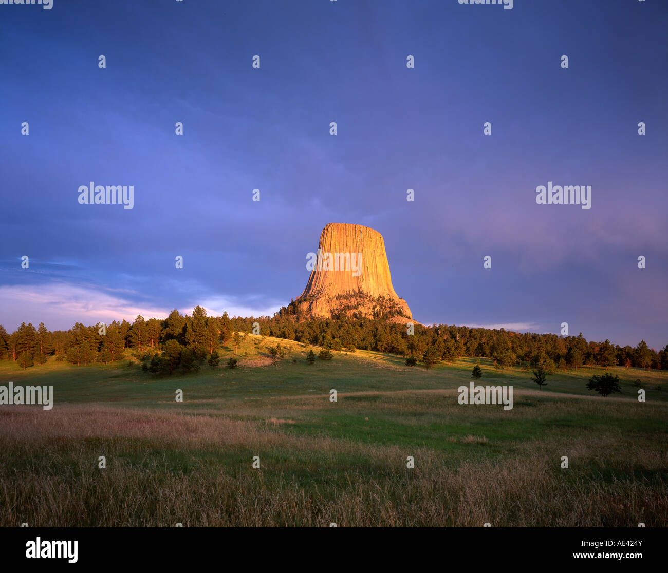 Devils Tower National Monument Wyoming USA Foto Stock