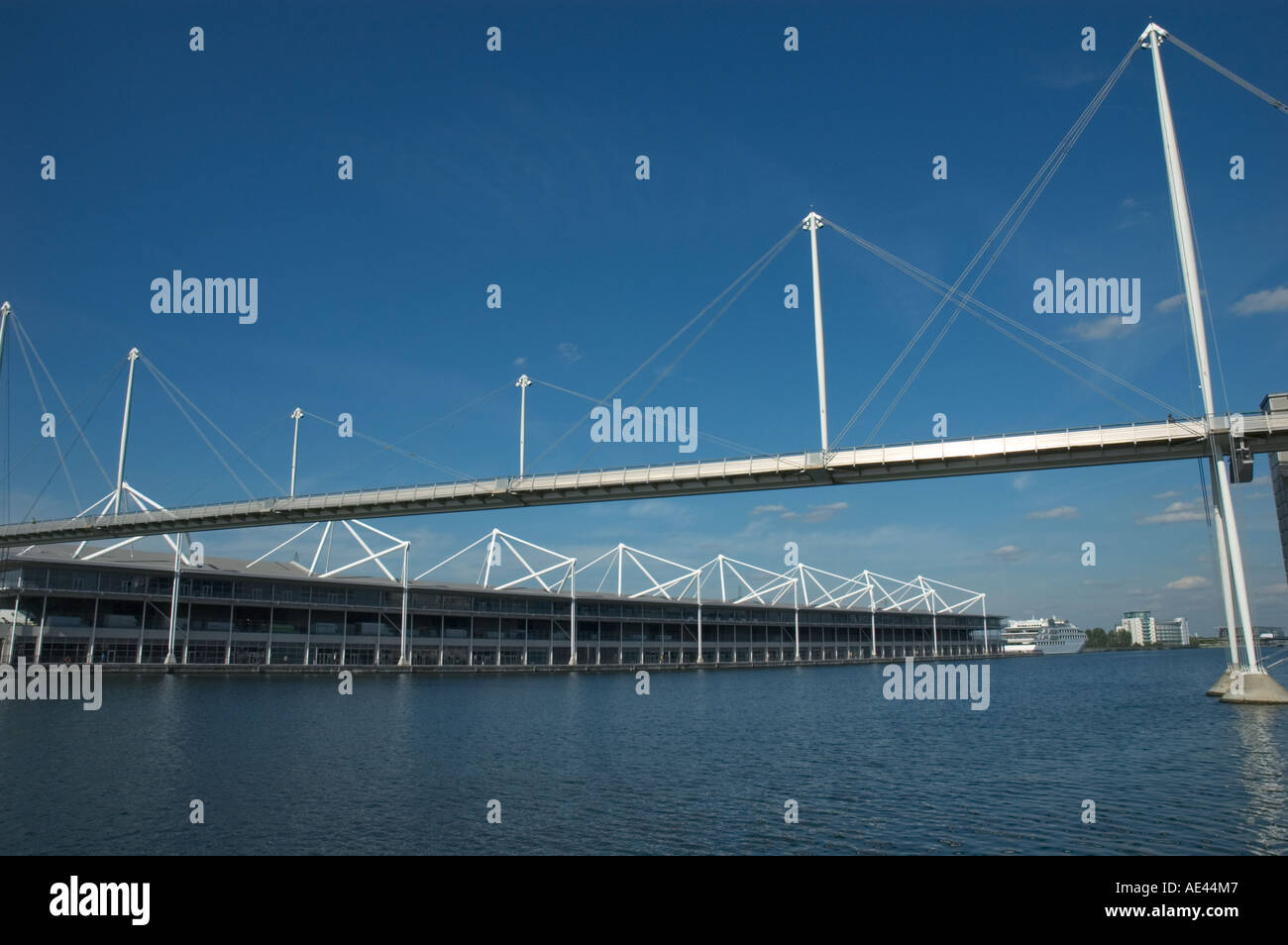 Vista del Royal Victoria Dock, mostrando il Footbridge e Excel Exhibition and Conference Centre di Londra, Inghilterra, Regno Unito Foto Stock