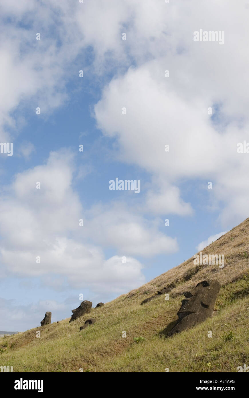 Moai cava, Ranu Raraku Vulcano, Isola di Pasqua (Rapa Nui), Cile Foto Stock