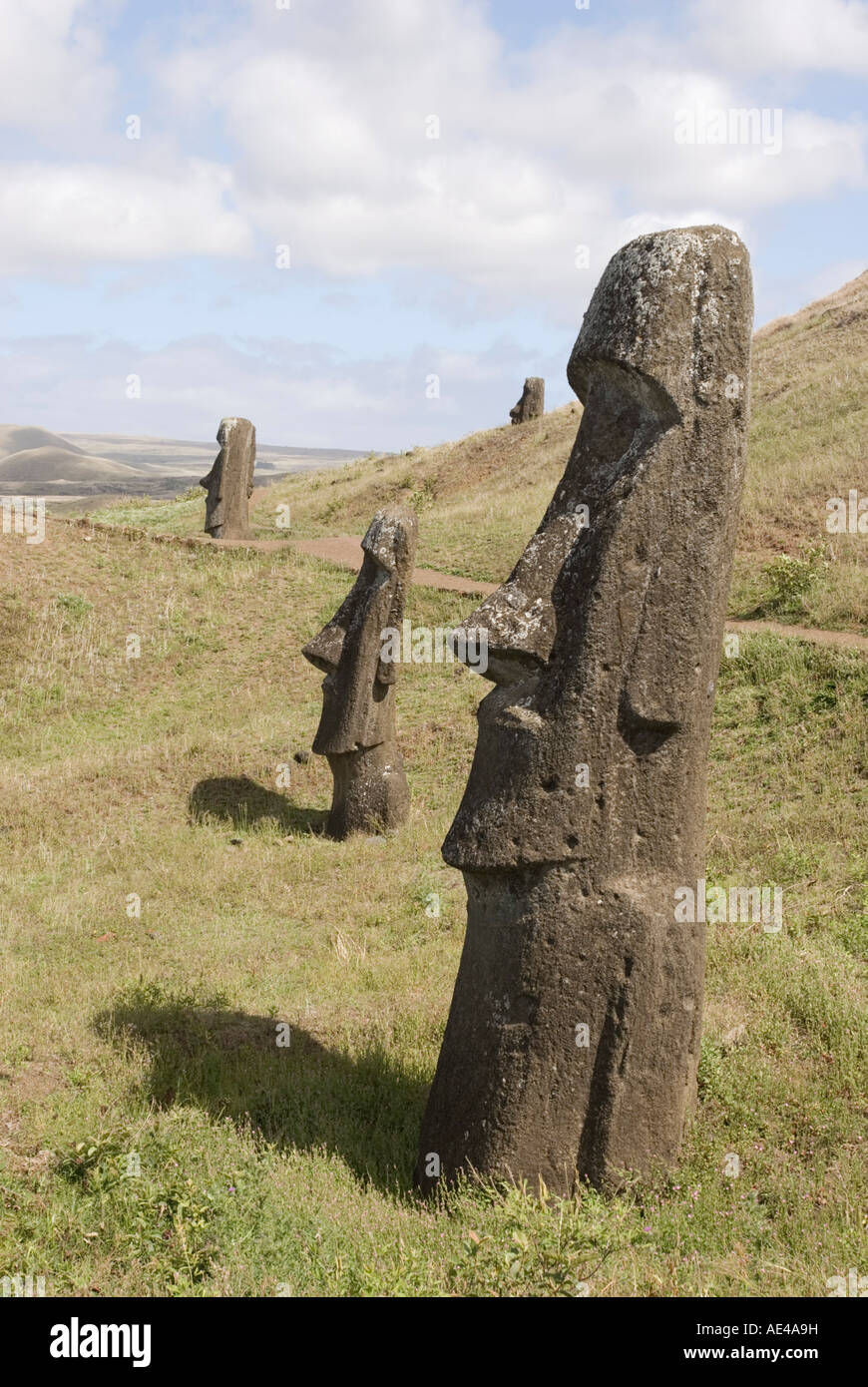 Moai cava, Ranu Raraku Vulcano, Sito Patrimonio Mondiale dell'UNESCO, l'Isola di Pasqua (Rapa Nui), Cile Foto Stock