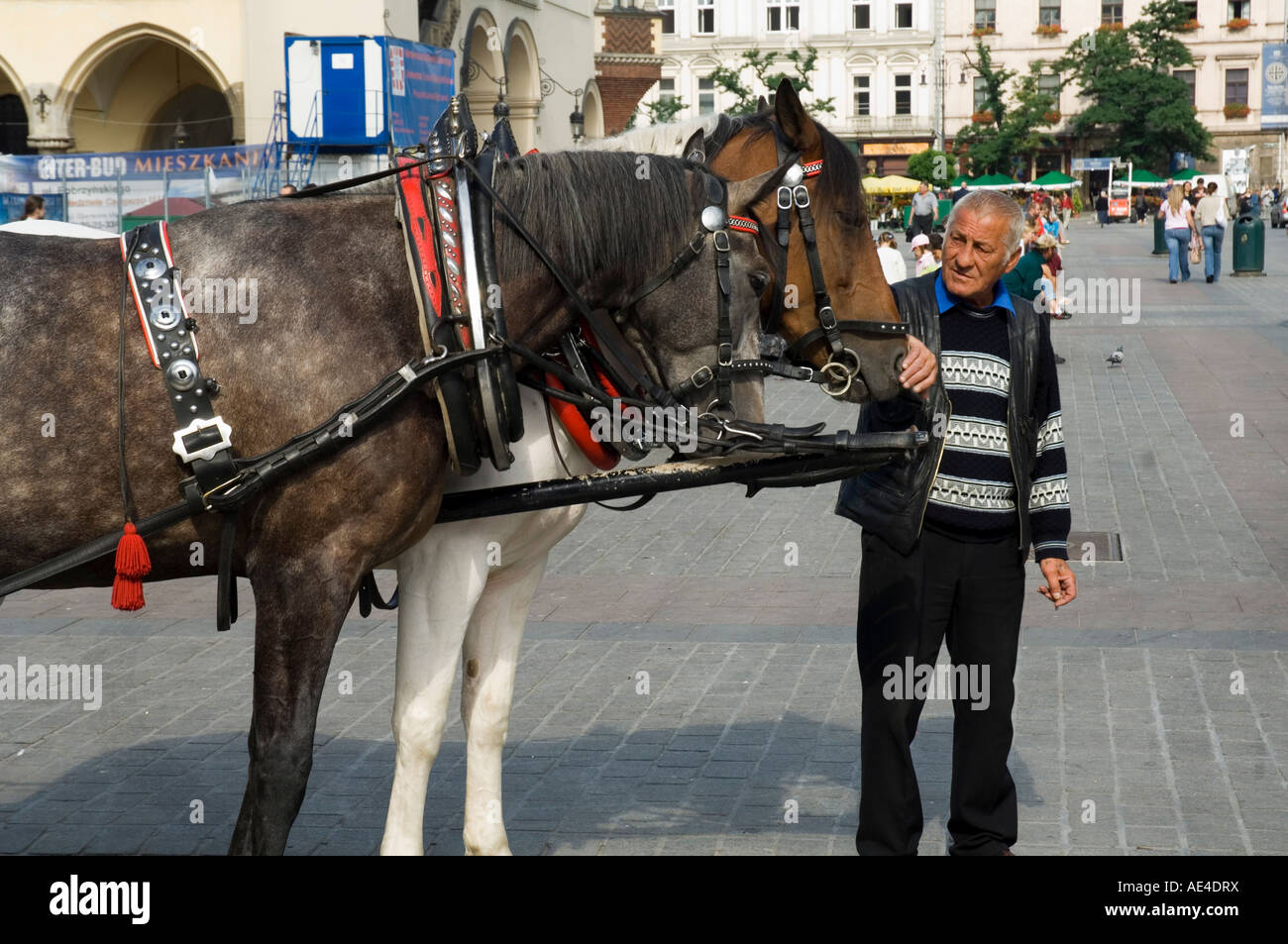 Cavallo e Carrozza nella piazza principale del mercato (Rynek Glowny), la Città Vecchia (Stare Miasto), Cracovia (Cracovia), Polonia, Europa Foto Stock