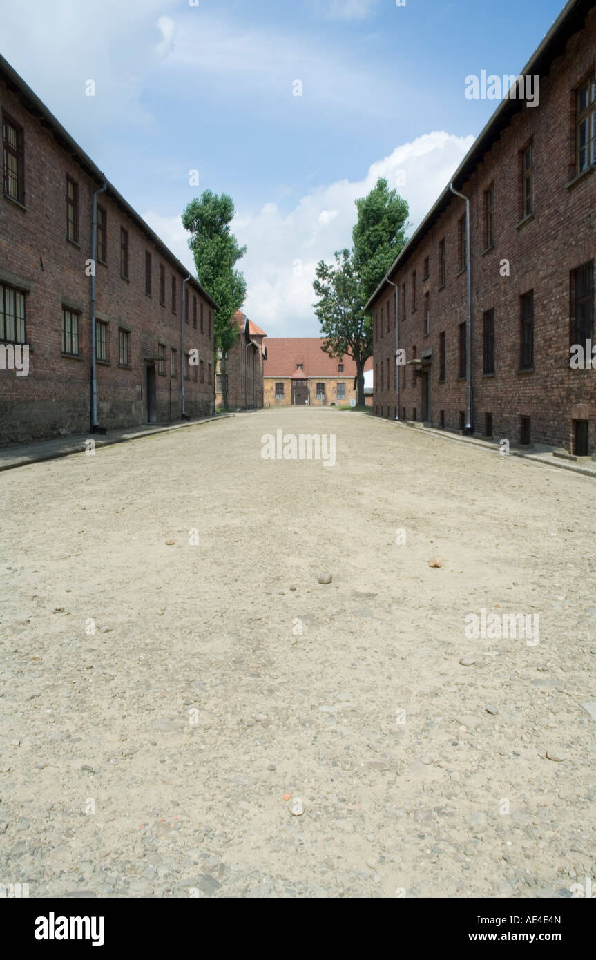 Campo di concentramento di Auschwitz, un memoriale e museo, sito Patrimonio Mondiale dell'UNESCO, Oswiecim nei pressi di Cracovia (Cracovia), Polonia, Europa Foto Stock