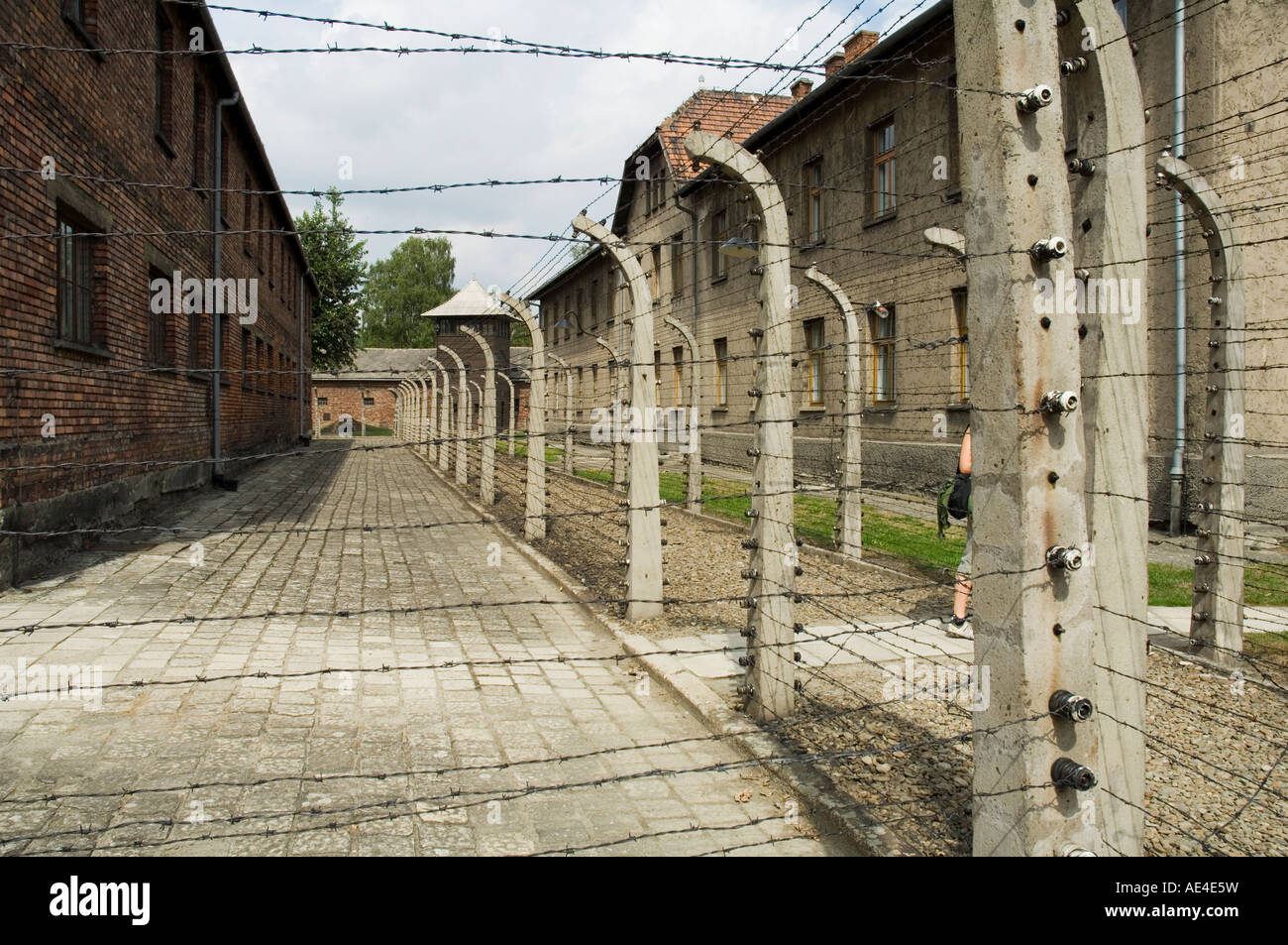 Recinto elettrico, campo di concentramento di Auschwitz, un memoriale e museo, sito Patrimonio Mondiale dell'UNESCO, Oswiecim vicino a Cracovia in Polonia Foto Stock